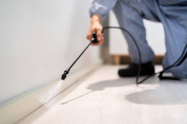 Licensed Mosquito Control service in Norris City, IL - Show Me Pest Control