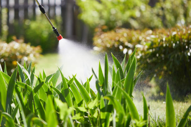 24/7 Emergency Mosquito Control experts in Norris City, IL