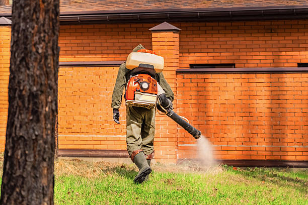 Top rated local Mosquito Control specialists in Norris City, IL